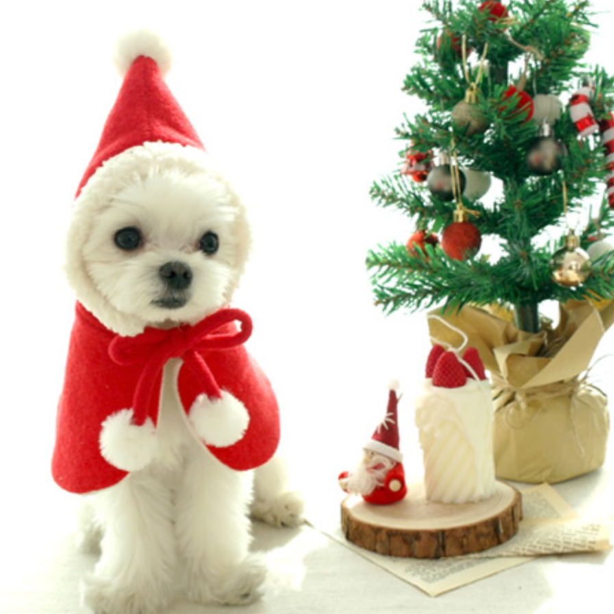 クリスマスプレゼントにおすすめアイテム10選♡