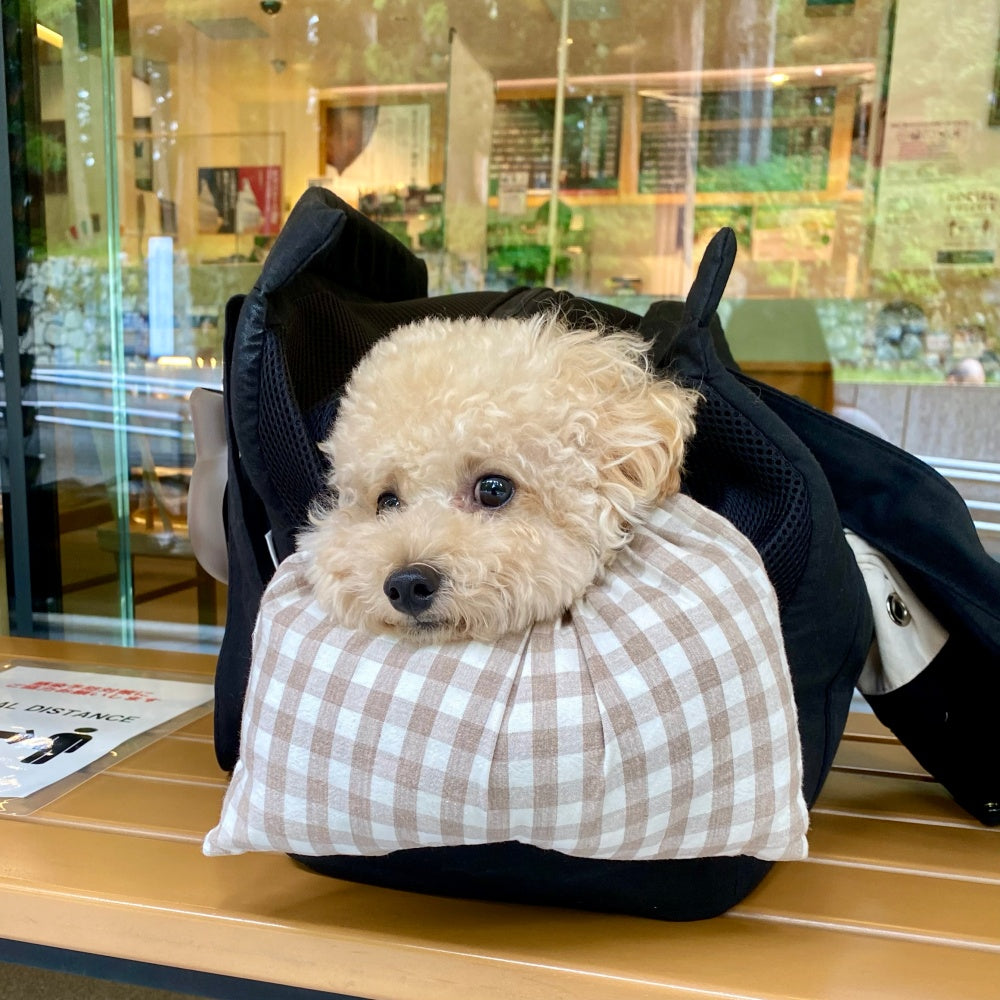 オーナーと愛犬が選ぶおすすめキャリーバッグ