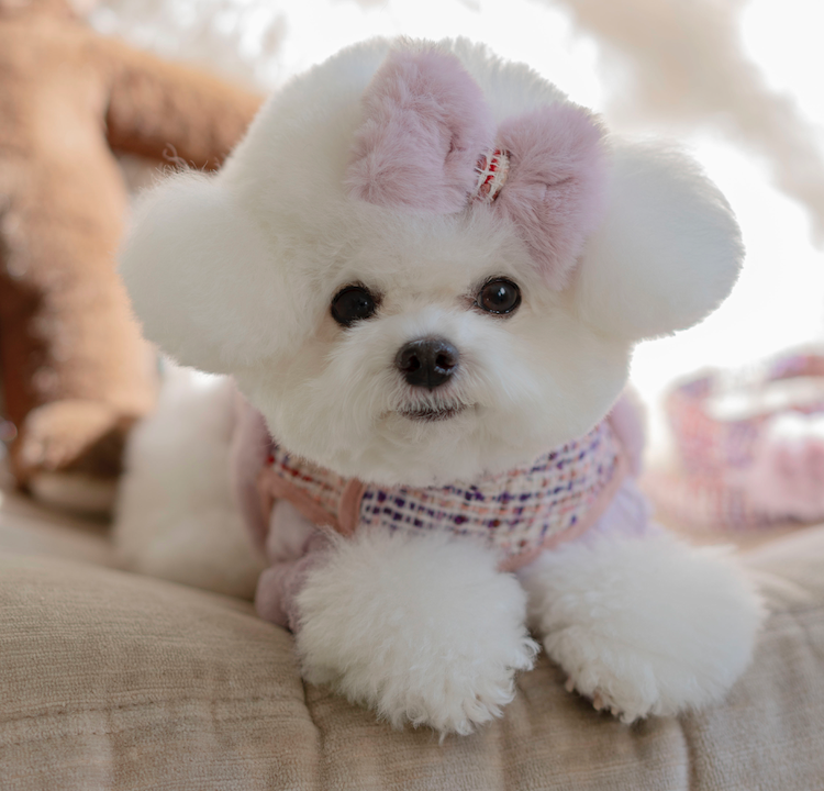COCO Collection