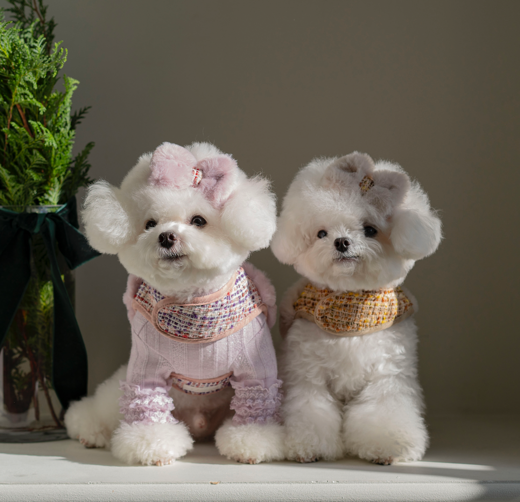 COCO Holiday Collection