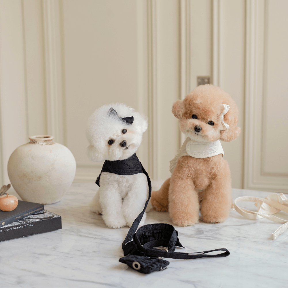 Shimmer Jacquard Collection(OPAAAP)