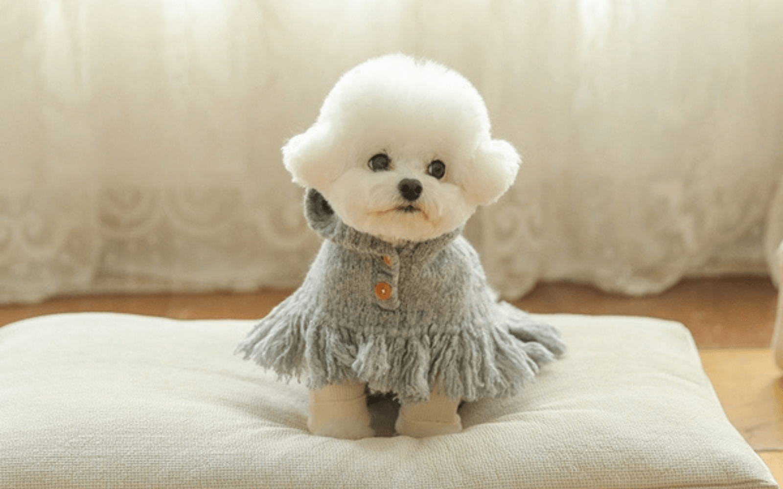 Poncho Knit Coat