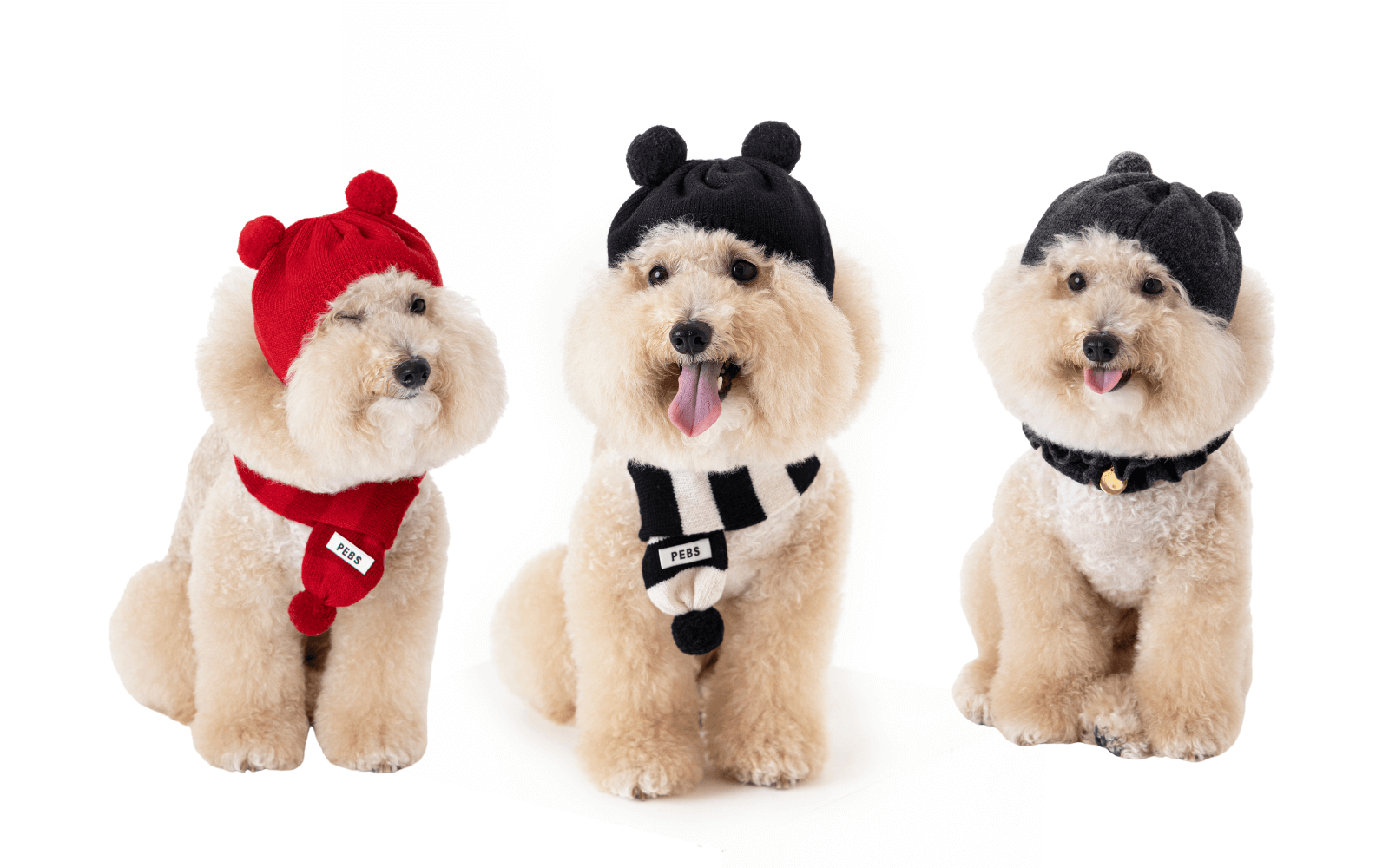 WOOL PUPPY PUPPY BEANIE & MUFFLER