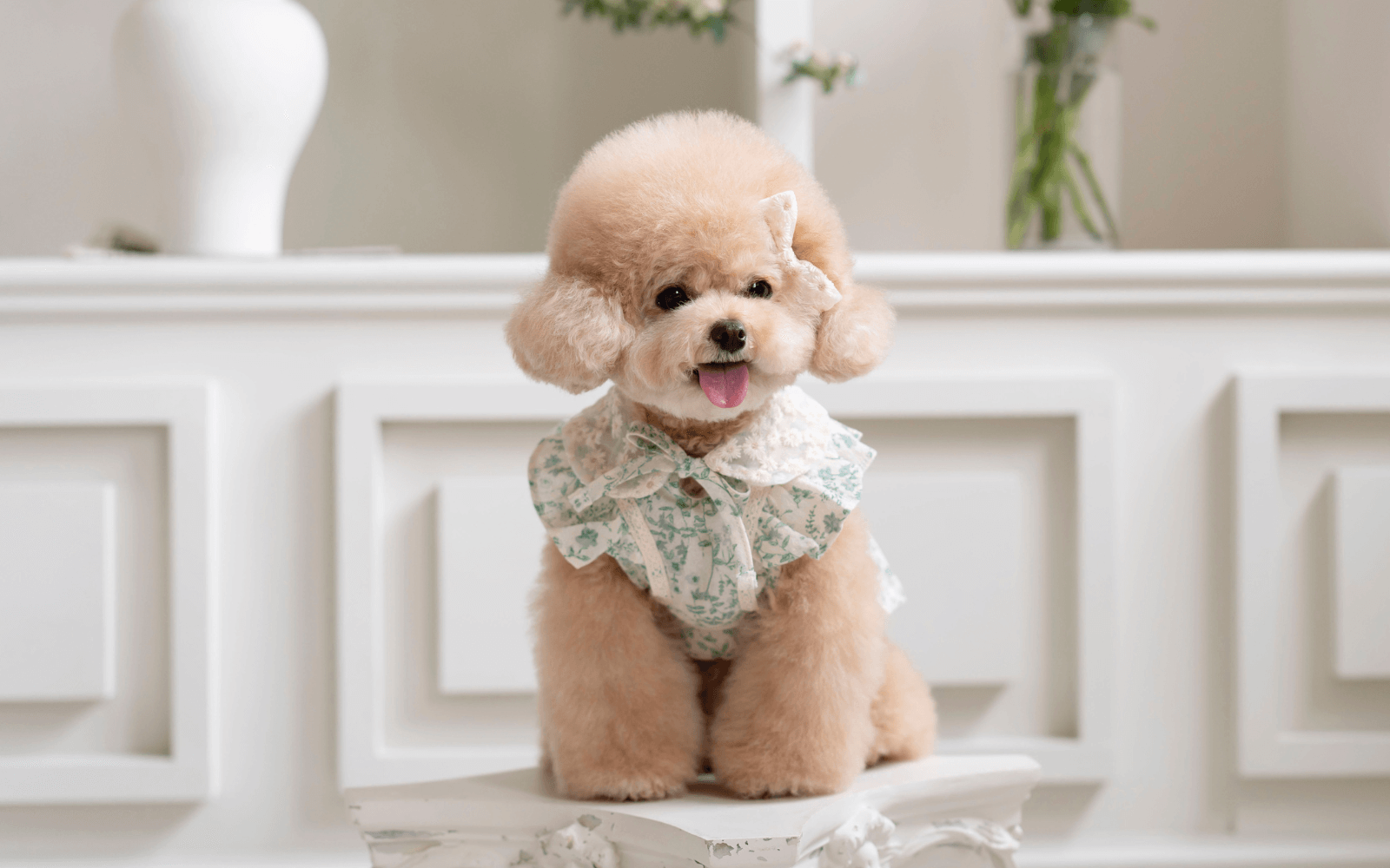 New Greenery Collection