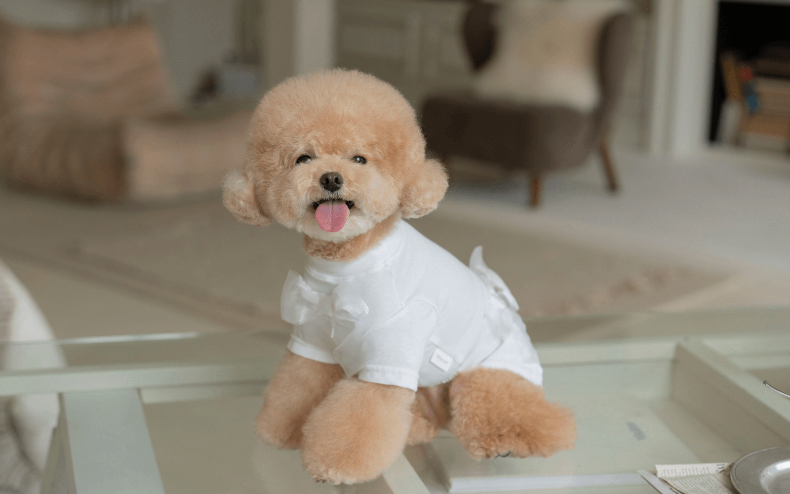 Wool Like Bow T-shirt