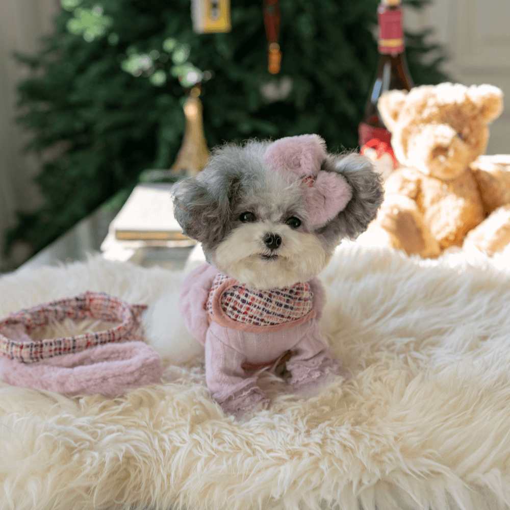 COCO Holiday Tweed Harness(Red Purple)
