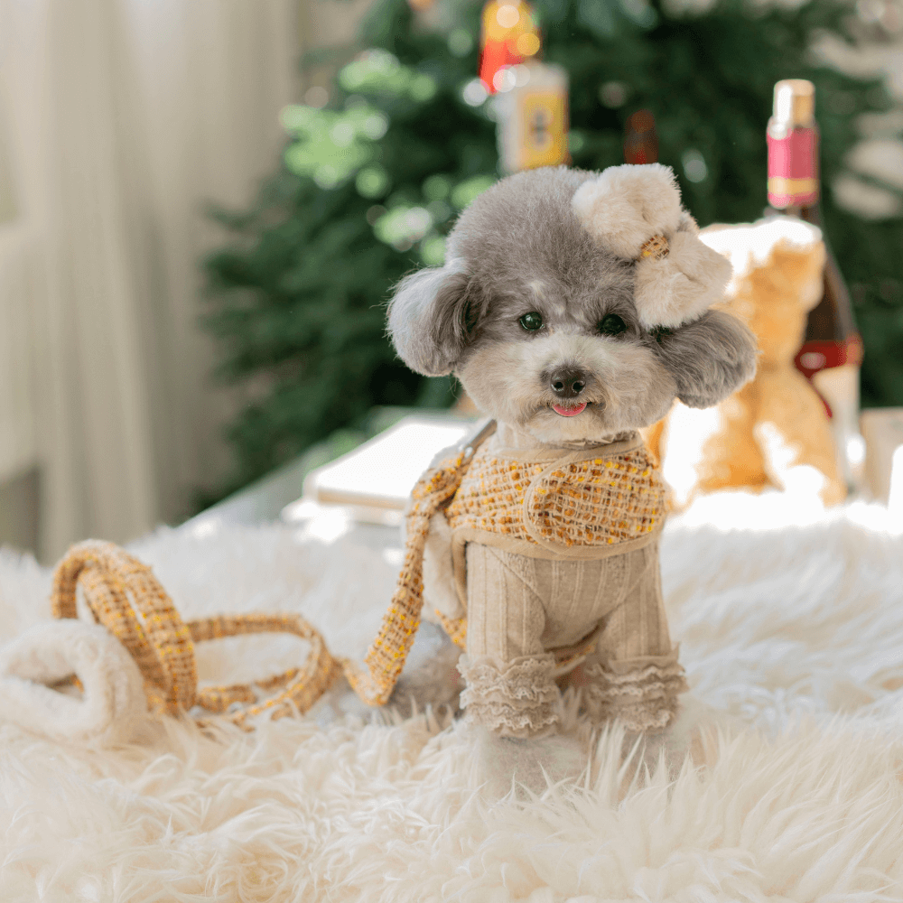 COCO Holiday Tweed Harness(Mustard Brown)