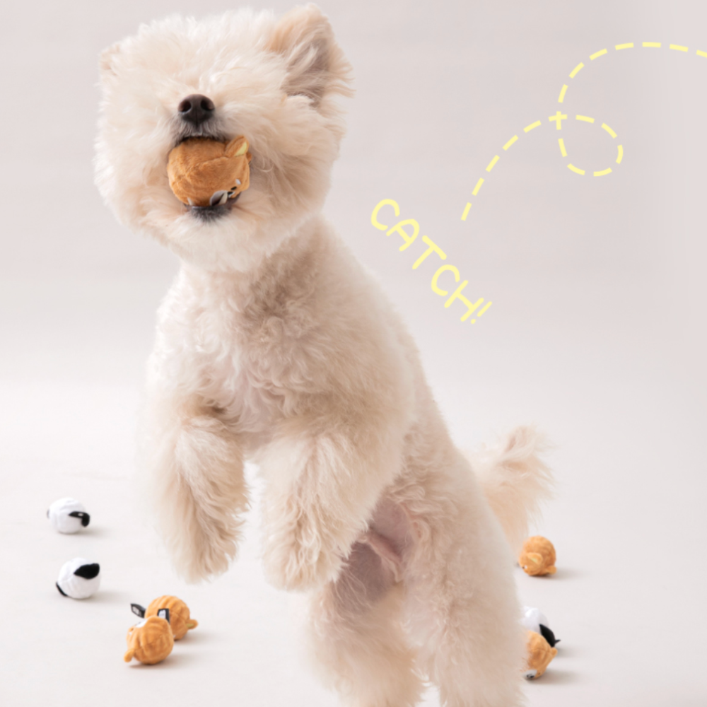 ワンワンボール