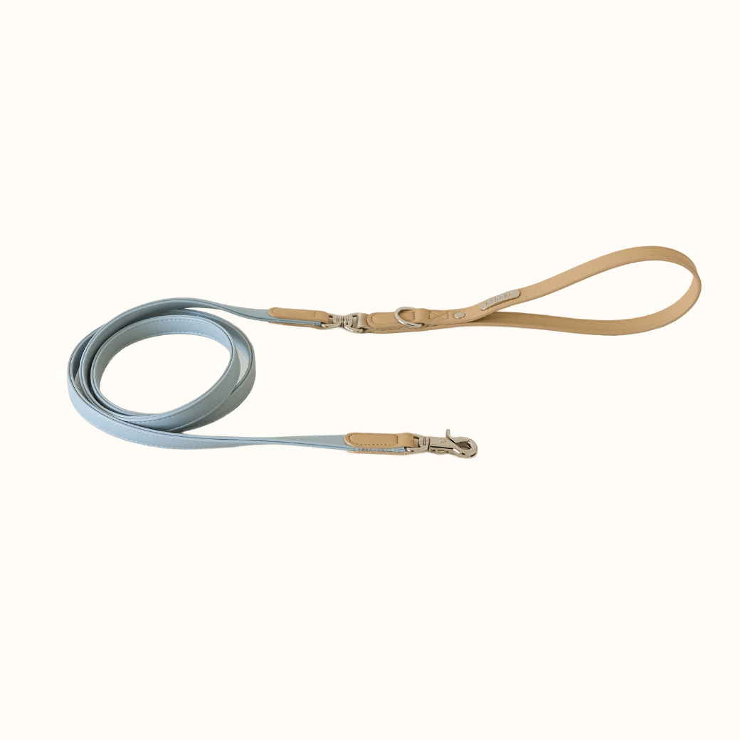 BEAR 150cm LEASH(Indi Blue)
