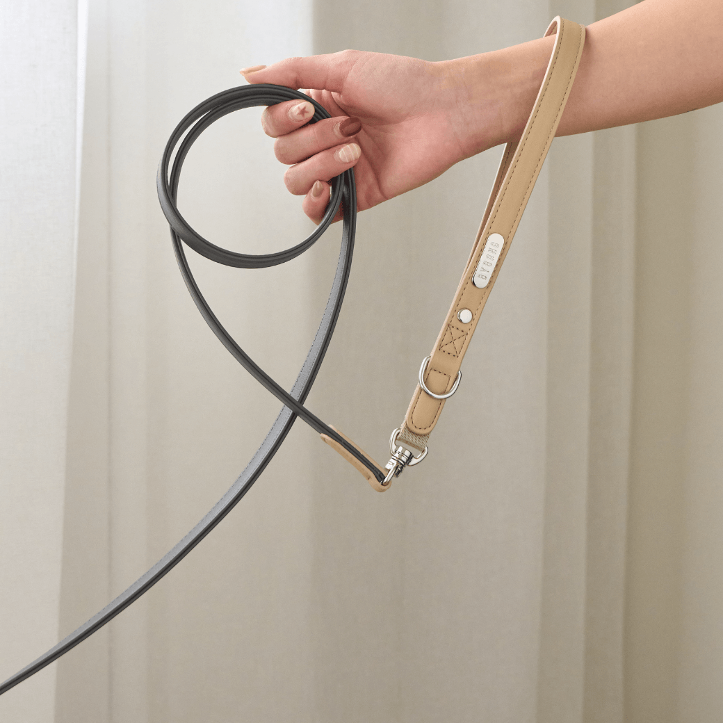 BEAR 150cm LEASH(Dark Grey)