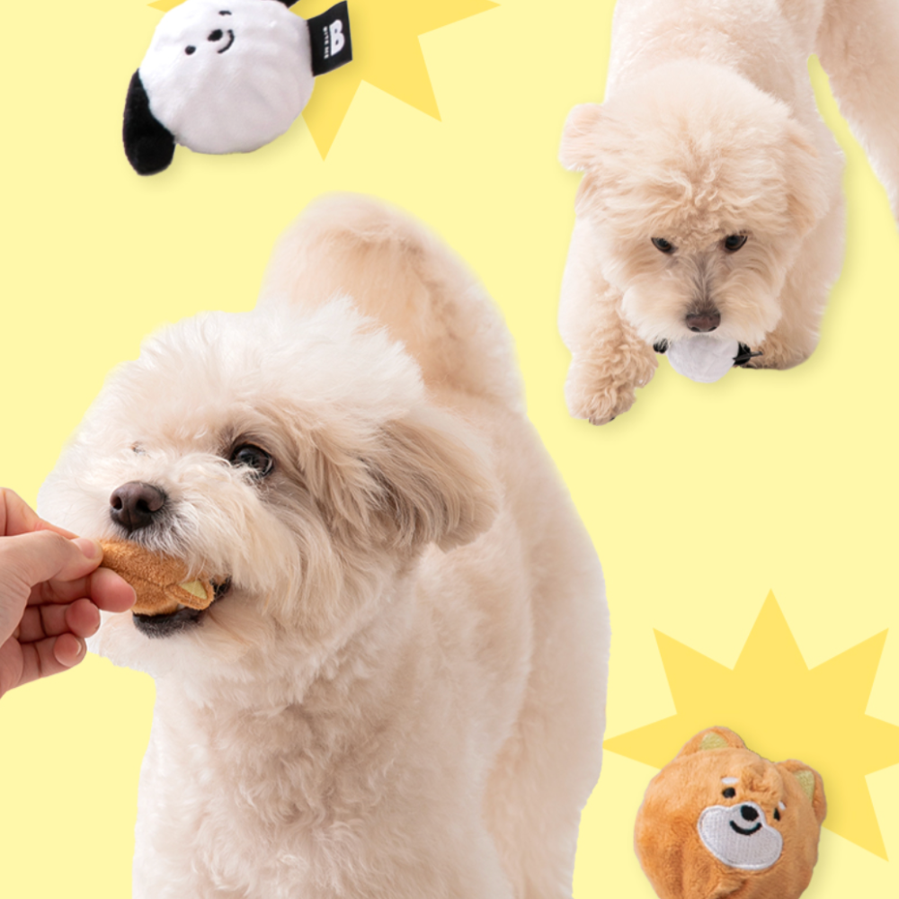 ワンワンボール