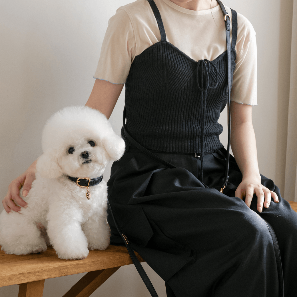 DELIGHT HANDS-FREE LEASH(ブラック)