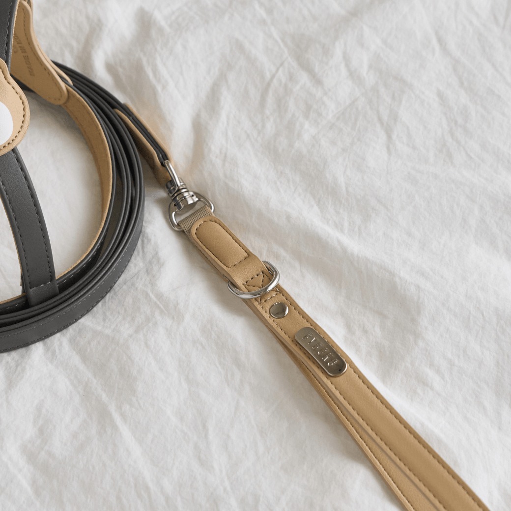 BEAR 150cm LEASH(Dark Grey)