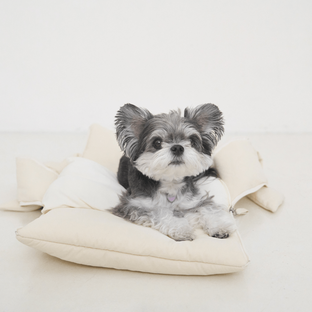 【予約】open bag - ivory(APERTY)