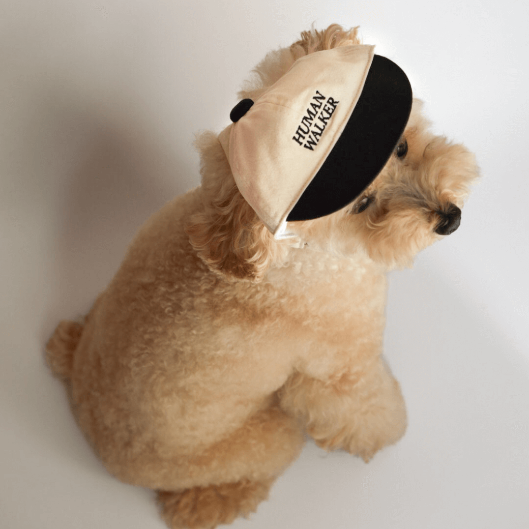 Dog Ball Cap(4COLOR)
