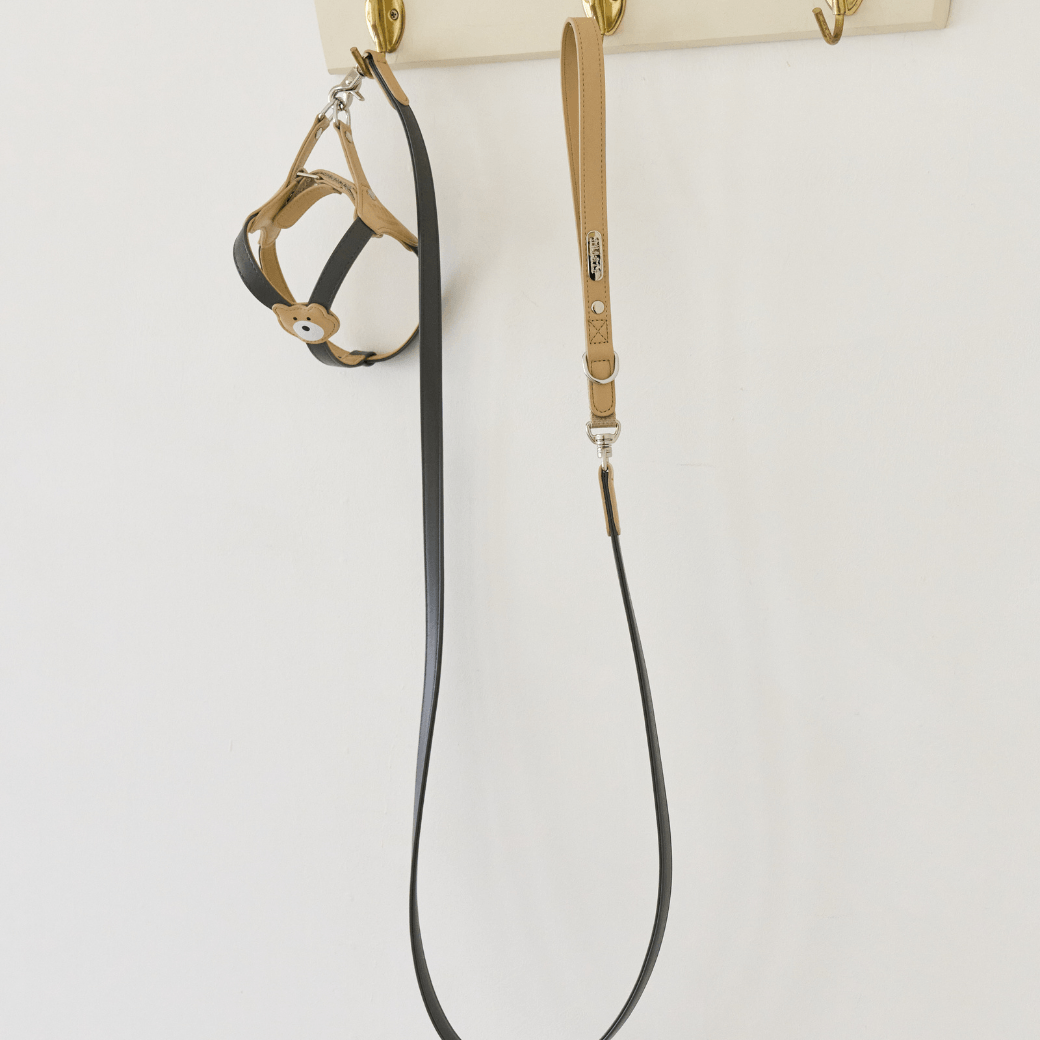 BEAR 150cm LEASH(Dark Grey)