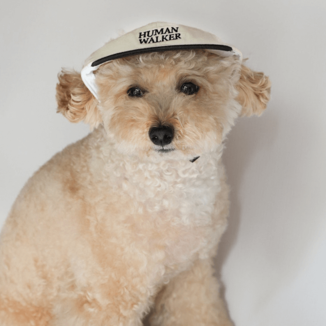 Dog Ball Cap(4COLOR)