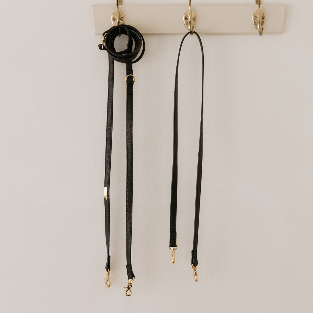 DELIGHT HANDS-FREE LEASH(ブラック)