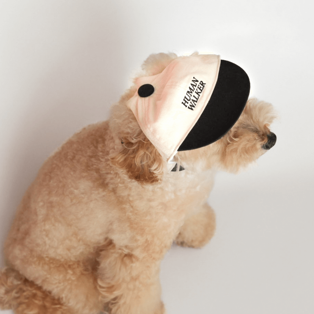 Dog Ball Cap(4COLOR)