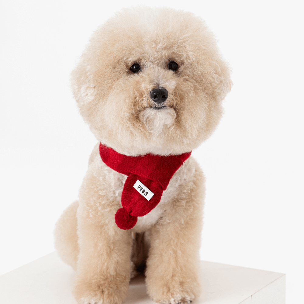 WOOL PUPPY POM-POM MUFFLER(RED)