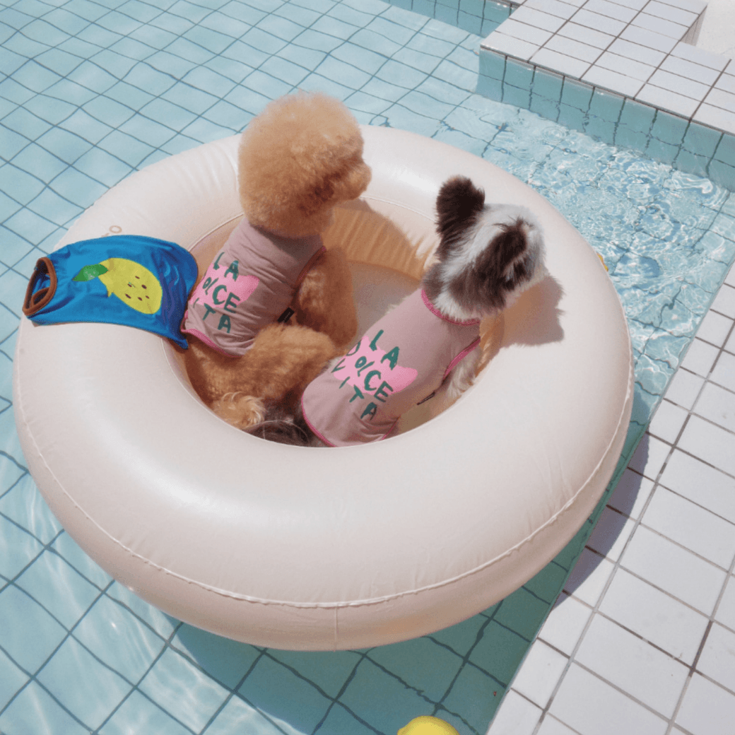 Vacation Cooling Top (2color)