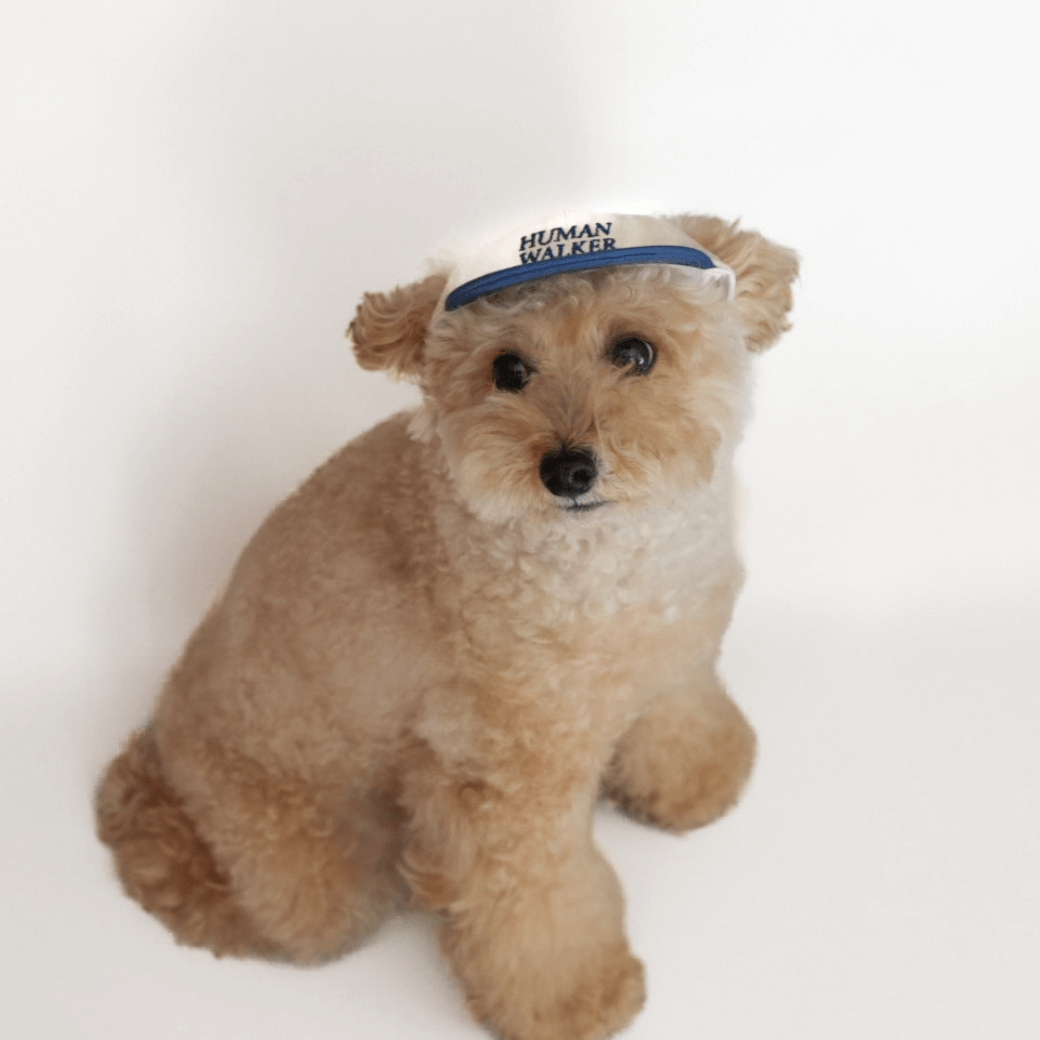 Dog Ball Cap(4COLOR)