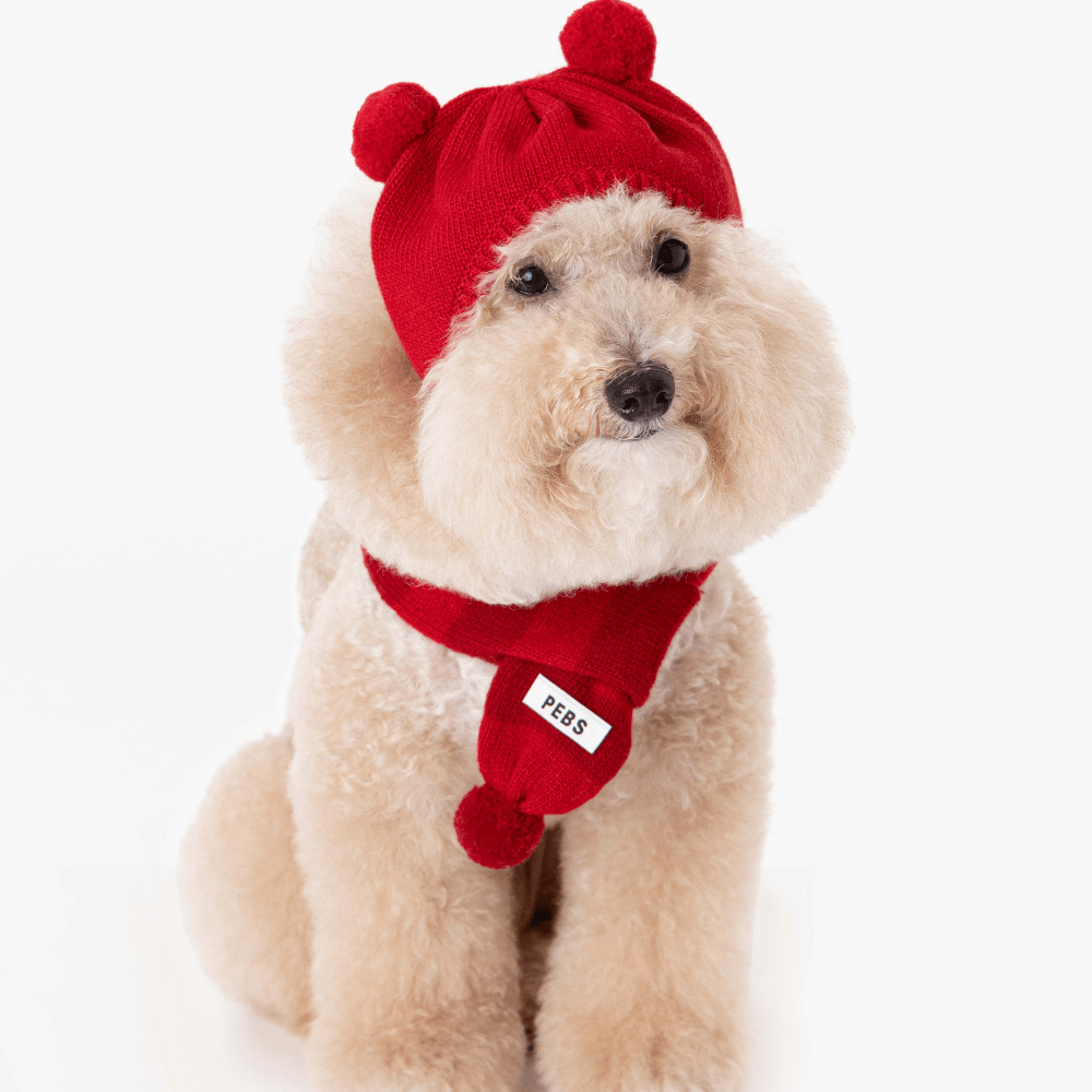 WOOL PUPPY PUPPY BEANIE(RED)