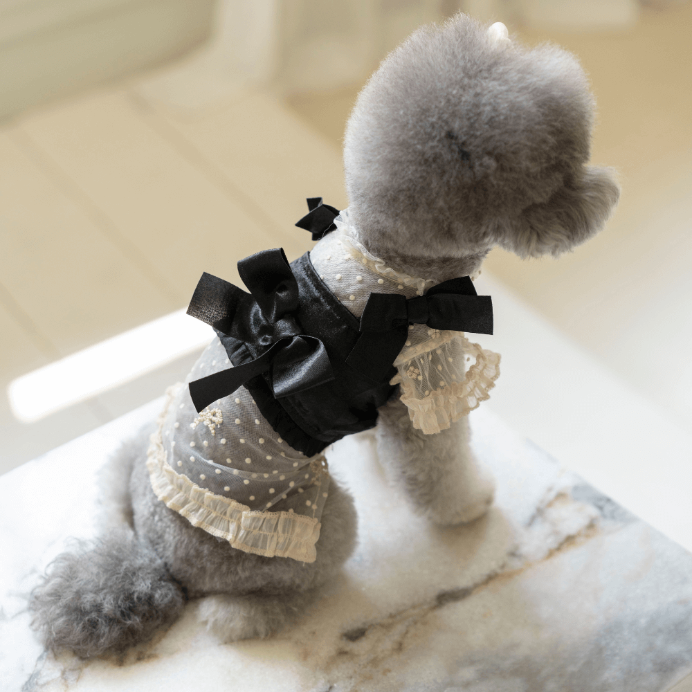 Shiny Ribbon Bustier(Shimmer Black)