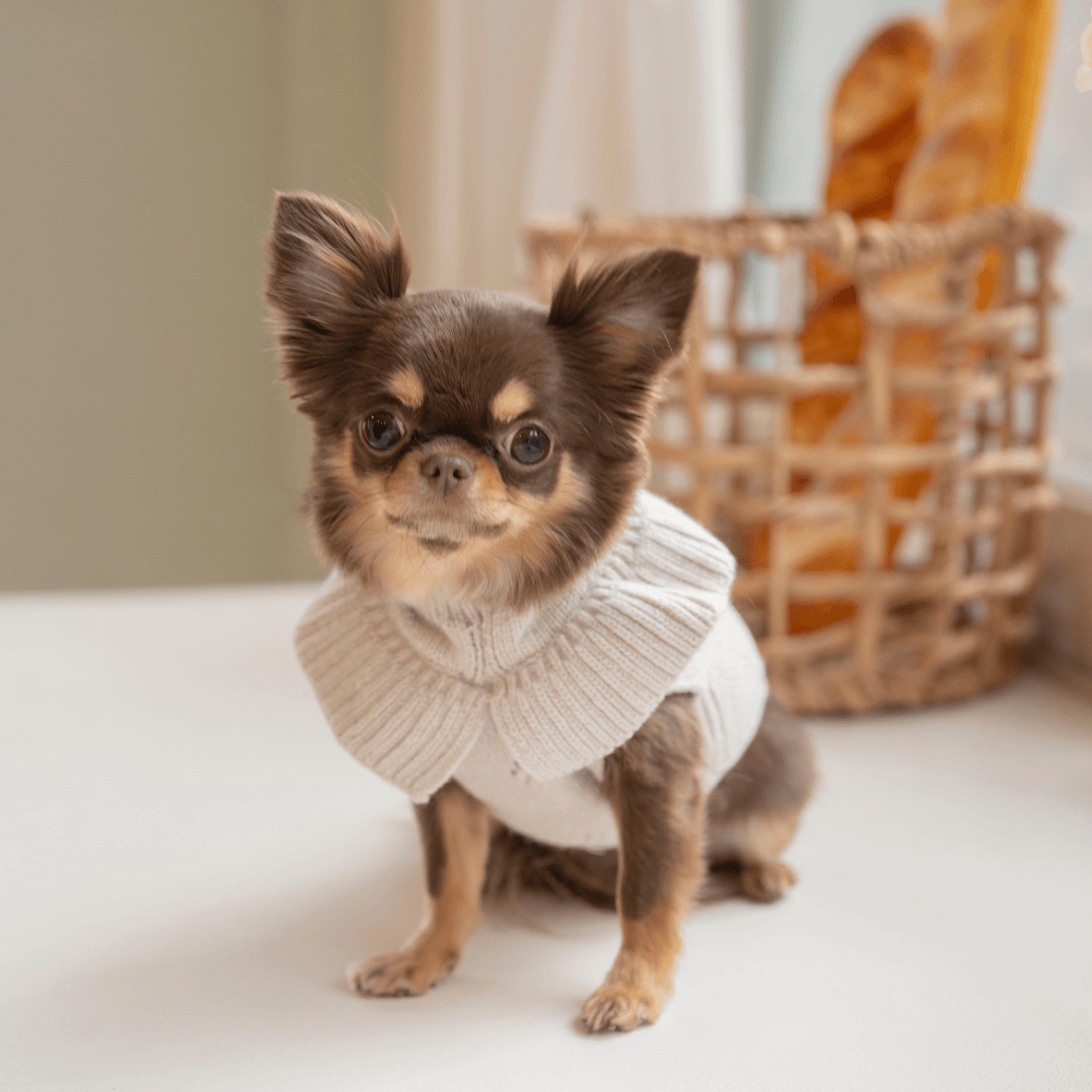 Frill Knit(Mocha)