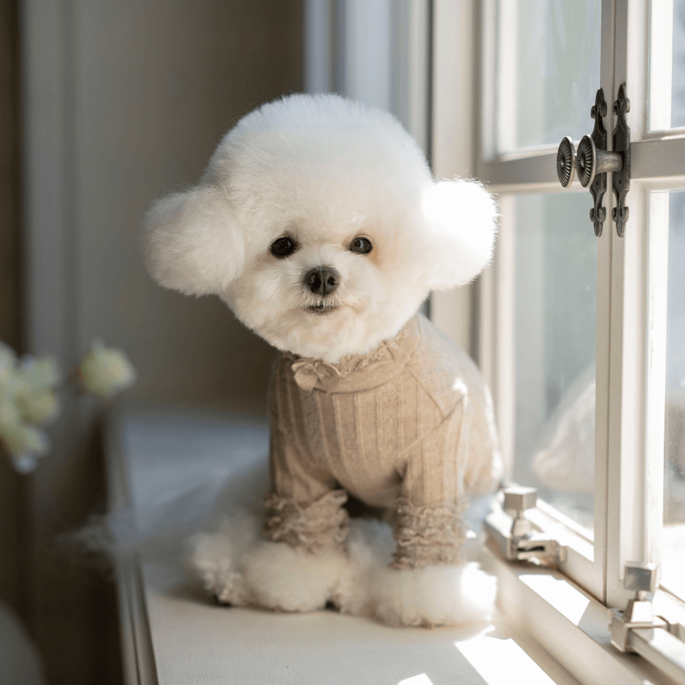 7th Limited Edition Lace Turtleneck(Latte)