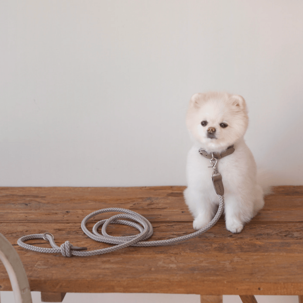 Rope Leash (Ash Grey)