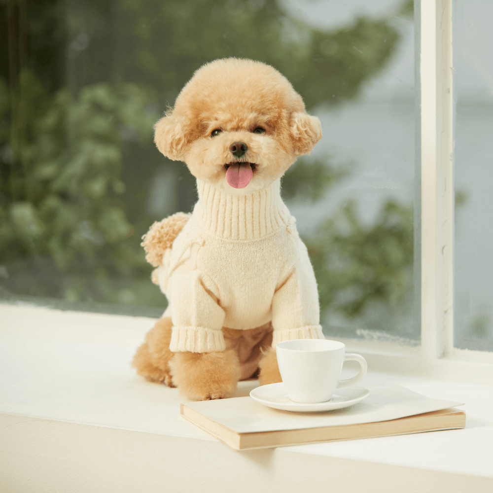 ポケットトイニットプルオーバー(アイボリー)