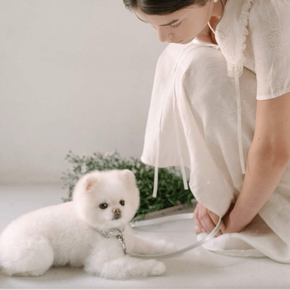 Lumiere Leash (Silver)