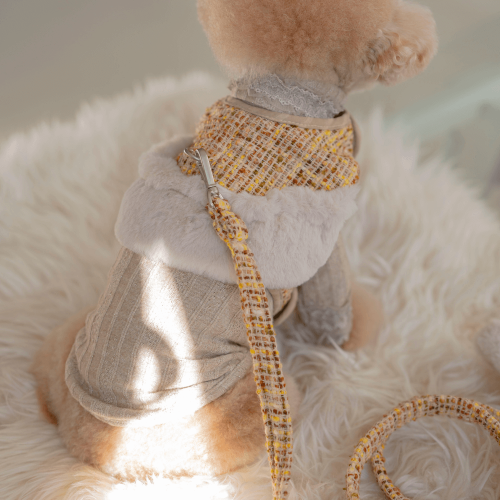 COCO Holiday Tweed Leash