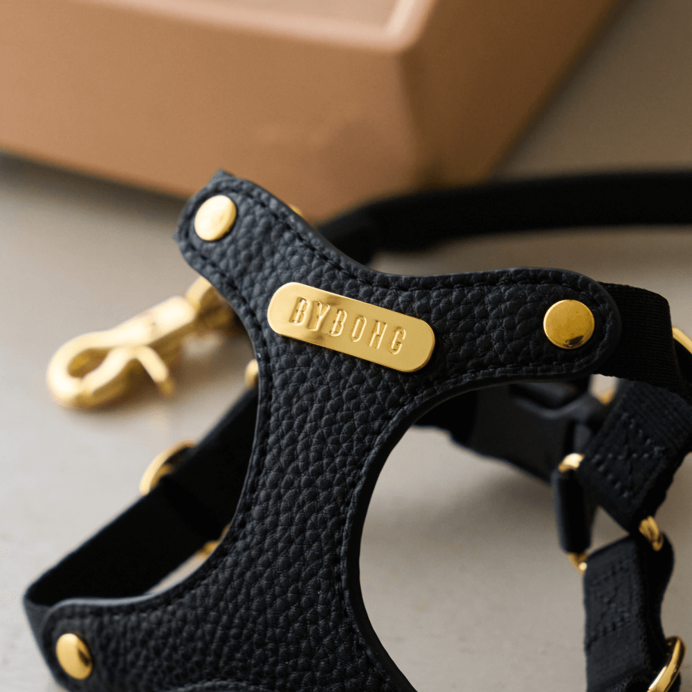 DELIGHT HARNESS バックルver(ブラック)