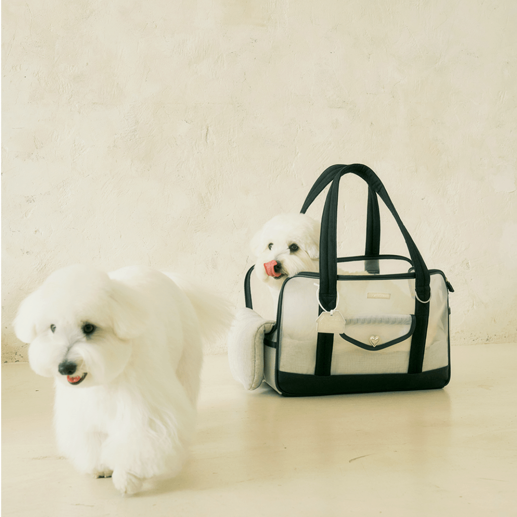 Mesh Ballon Bag - Black & Grey(Seoru)