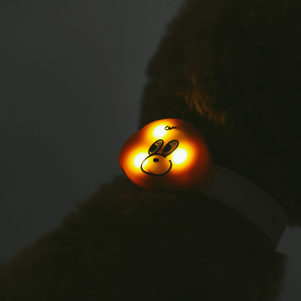 犬の夜散歩用LEDライト MINIME