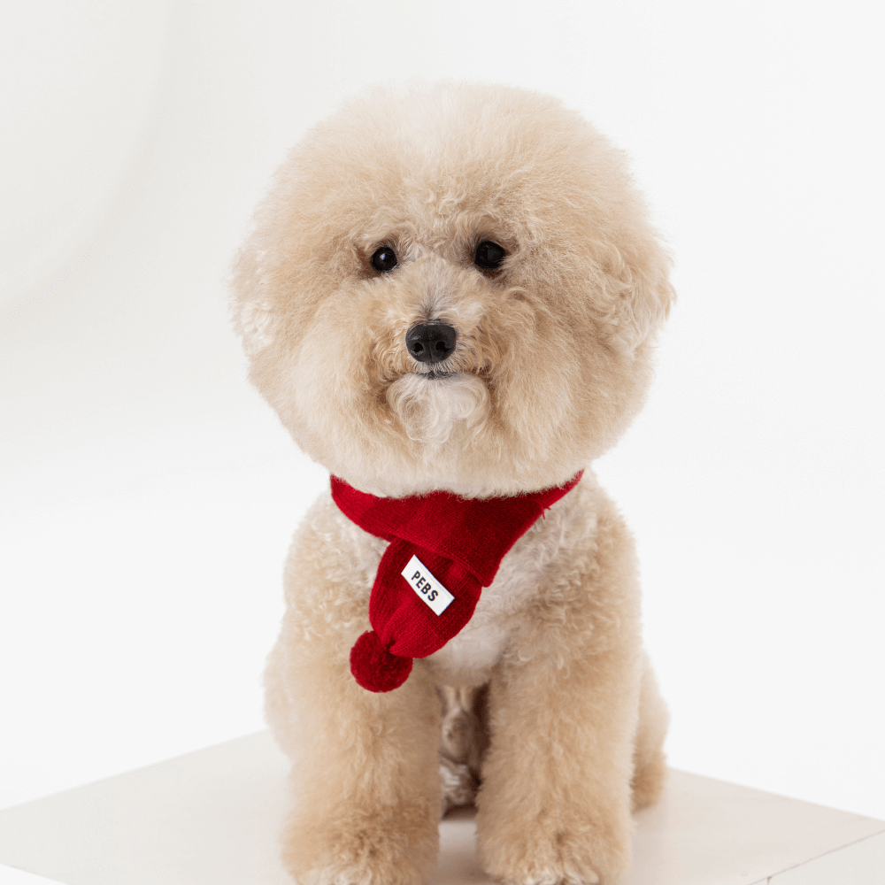 WOOL PUPPY POM-POM MUFFLER(RED)
