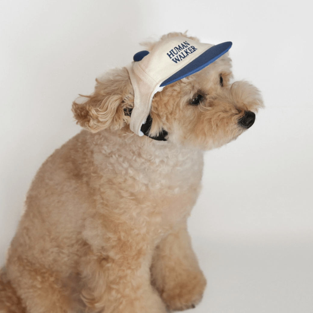 Dog Ball Cap(4COLOR)