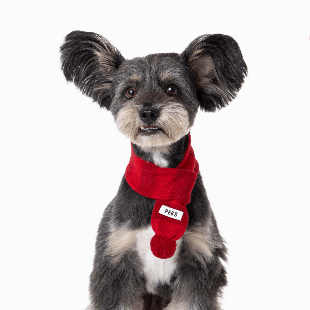 WOOL PUPPY POM-POM MUFFLER(RED)