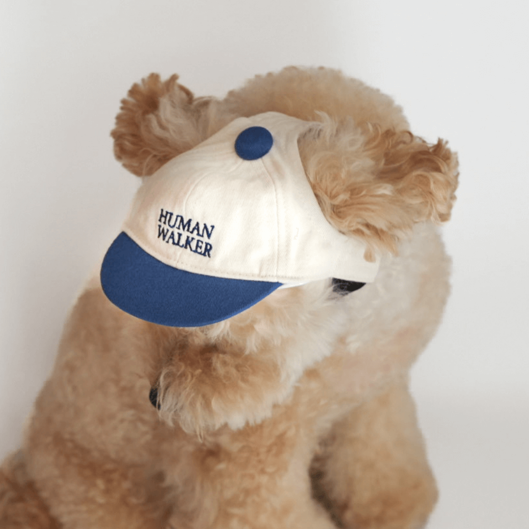 Dog Ball Cap(4COLOR)