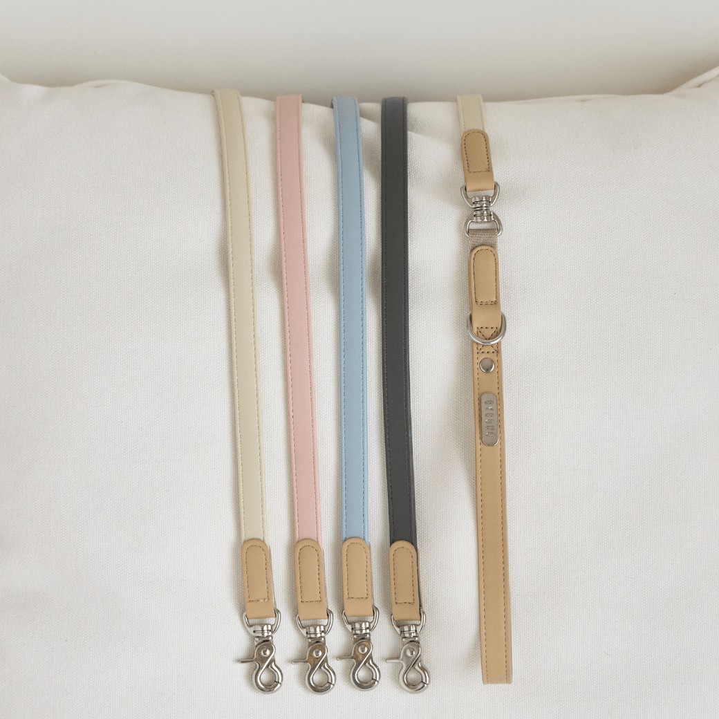 BEAR 150cm LEASH(Dark Grey)