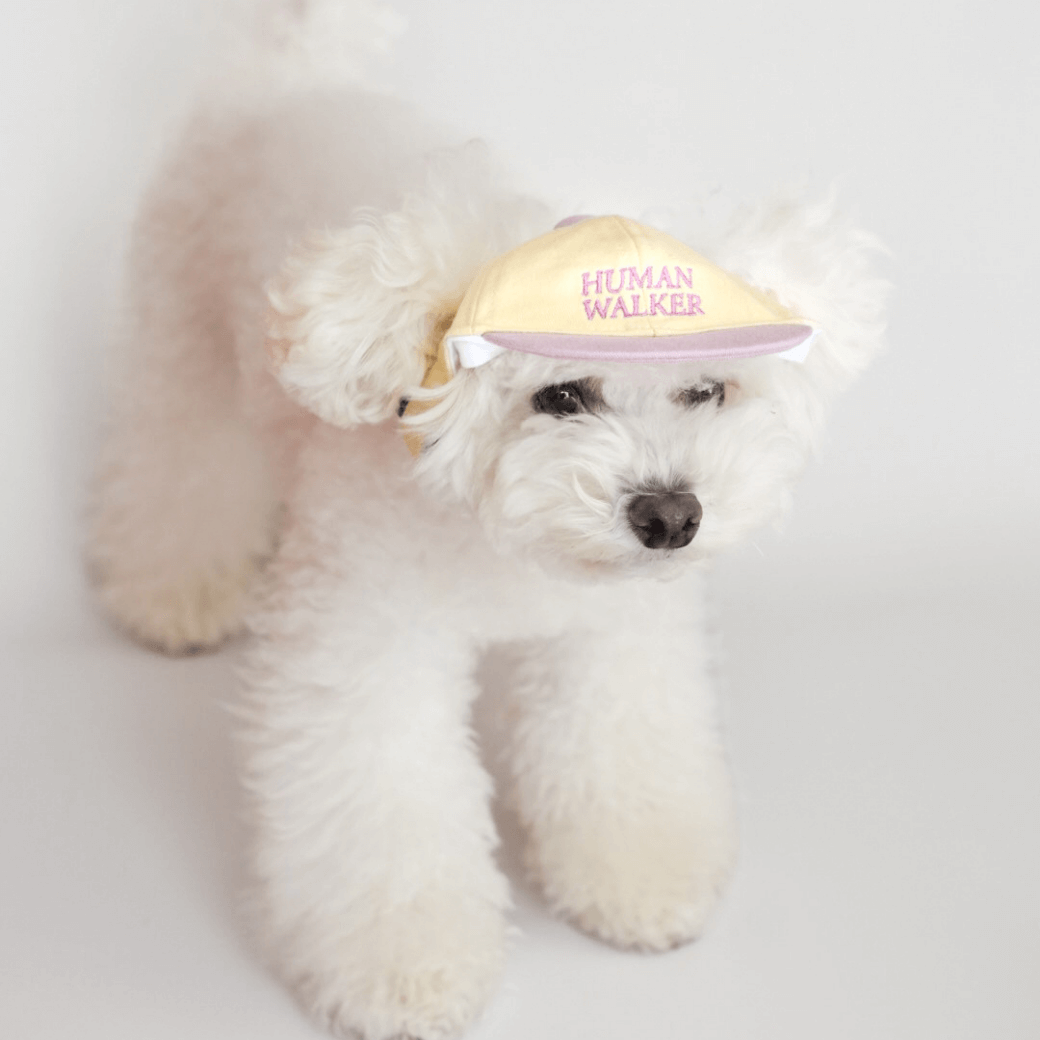 Dog Ball Cap(4COLOR)