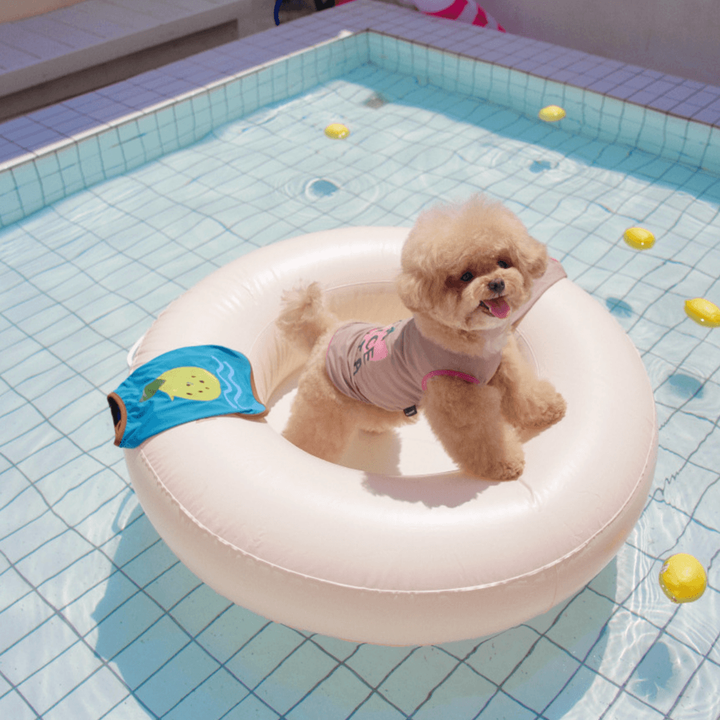 Vacation Cooling Top (2color)