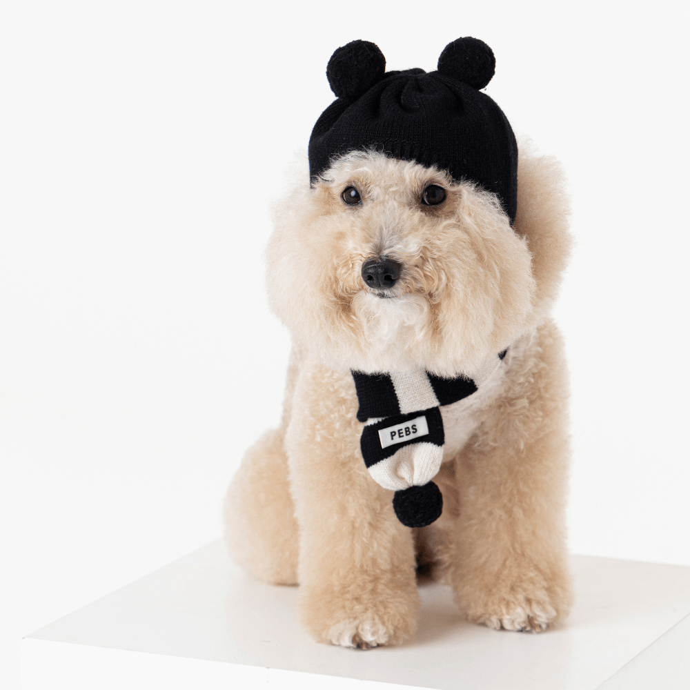 WOOL PUPPY POM-POM MUFFLER(BLACK&WHITE)