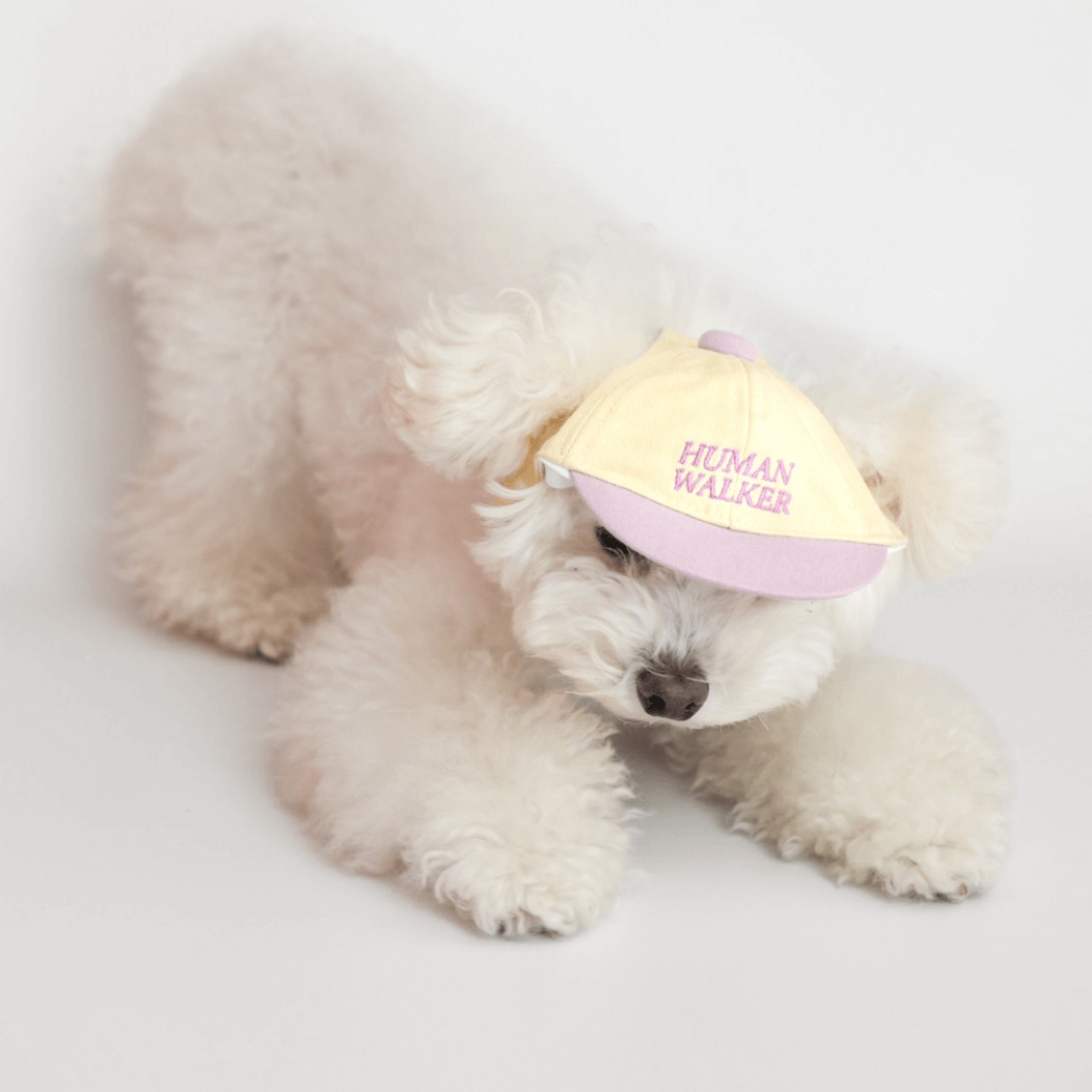 Dog Ball Cap(4COLOR)