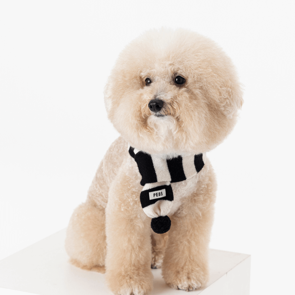 WOOL PUPPY POM-POM MUFFLER(BLACK&WHITE)