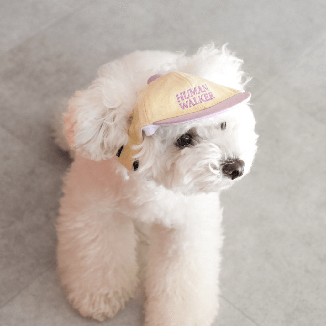Dog Ball Cap(4COLOR)