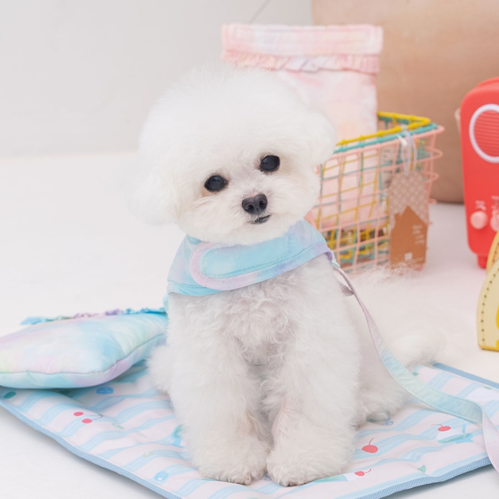 【5/12配送】Ice Water Harness(Aqua Breeze)