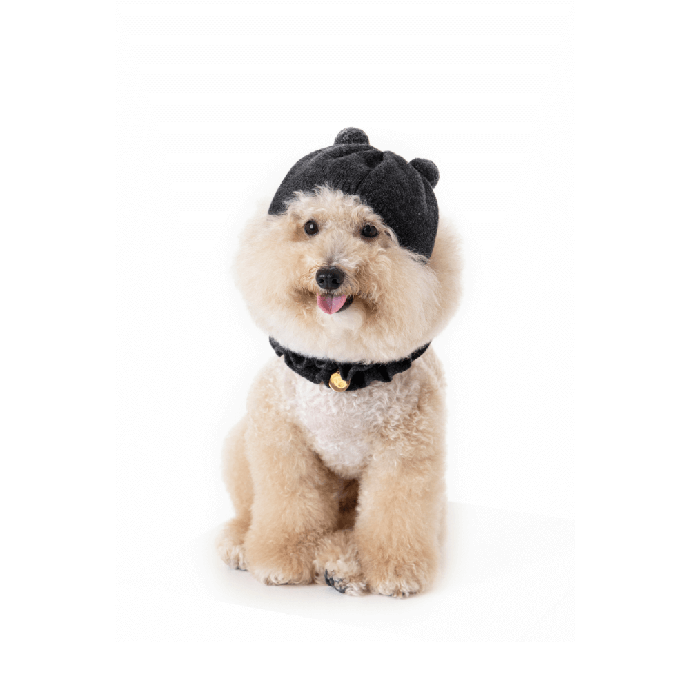 WOOL PUPPY PUPPY BEANIE(GREY)